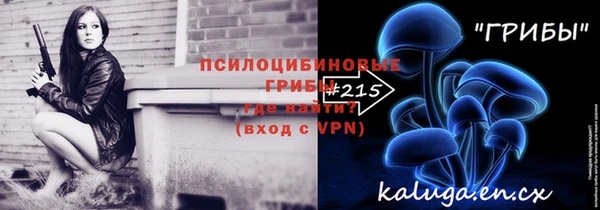 молекула духа Богородск
