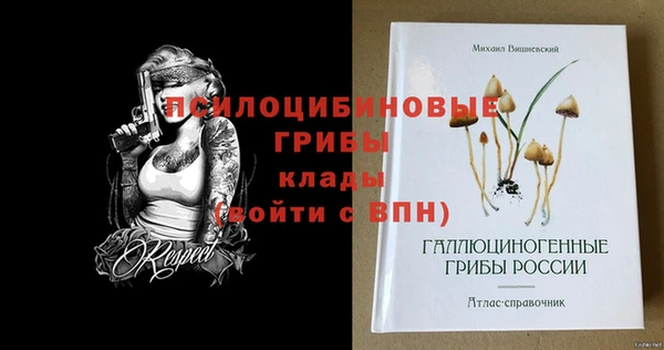 PSILOCYBIN Богородицк