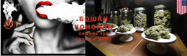 молекула духа Богородск