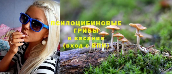 кокаин Богданович