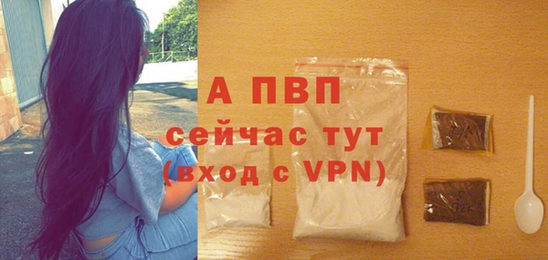 молекула духа Богородск